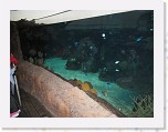 Dierentuin Burgers  Zoo 045 * 3648 x 2736 * (4.09MB)